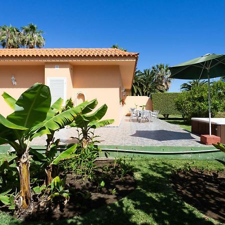Finca La Gaviota - Los Limoneros 伊科德·德·洛斯·维诺斯 外观 照片