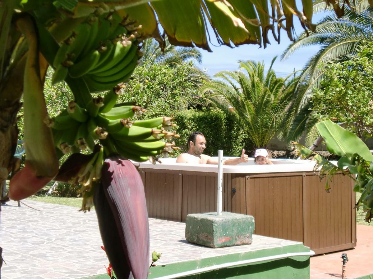 Finca La Gaviota - Los Limoneros 伊科德·德·洛斯·维诺斯 外观 照片