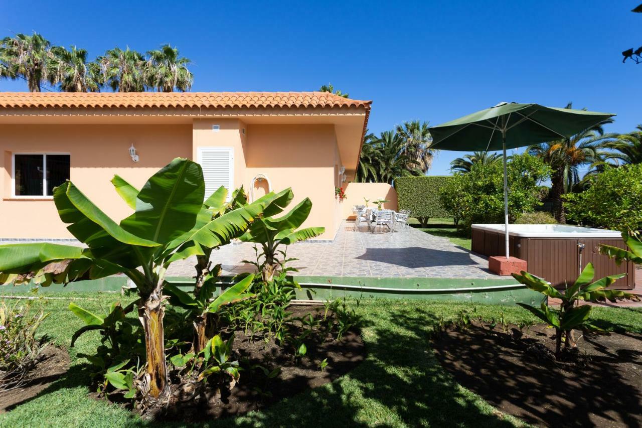 Finca La Gaviota - Los Limoneros 伊科德·德·洛斯·维诺斯 外观 照片